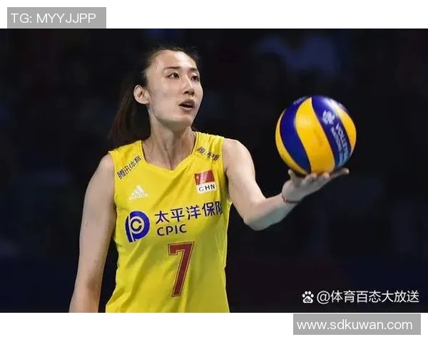 武汉排球队反击之路的成功与挑战分析