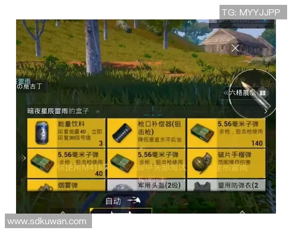 和平精英战术解析：深入了解WE战队的默契配合与战略布局